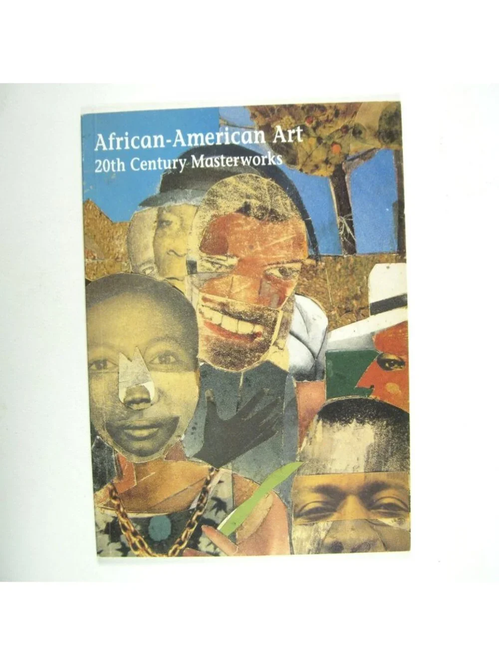 African American Art 20th Century Art Catalog Michael Rosenfeld Gallery 1993
